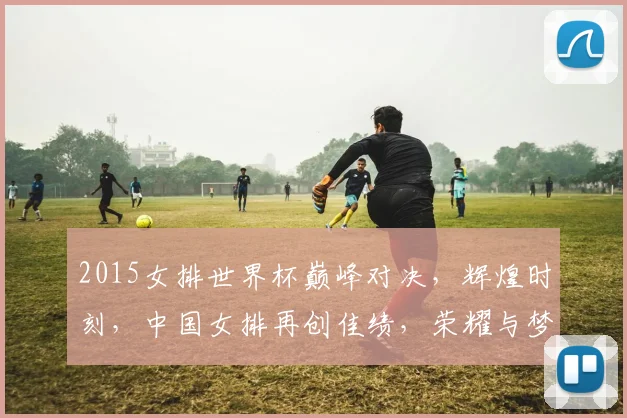 2015女排世界杯巅峰对决，辉煌时刻，中国女排再创佳绩，荣耀与梦想并存