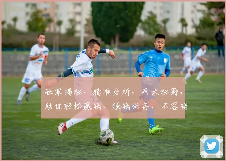 独家揭秘，精准分析，两大秘籍，助你轻松赢钱，赚钱必备，不容错过
