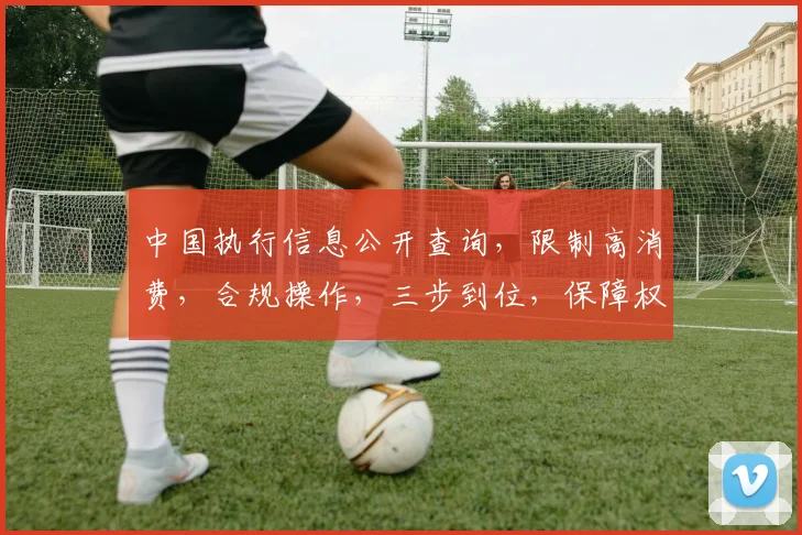 中国执行信息公开查询，限制高消费，合规操作，三步到位，保障权益，高效便捷。