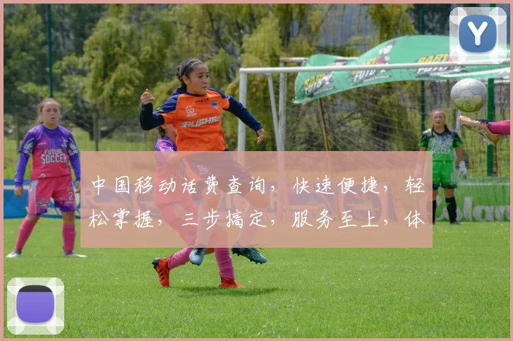 中国移动话费查询，快速便捷，轻松掌握，三步搞定，服务至上，体验非凡，。